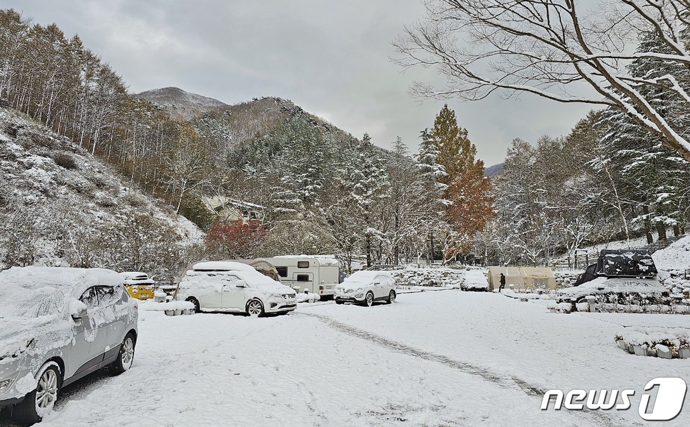 전북 임실군 성수산 왕의숲 국민여가캠핑장에 눈이 쌓였다.&#40;임실군제공&#41;2023.12.2/뉴스1