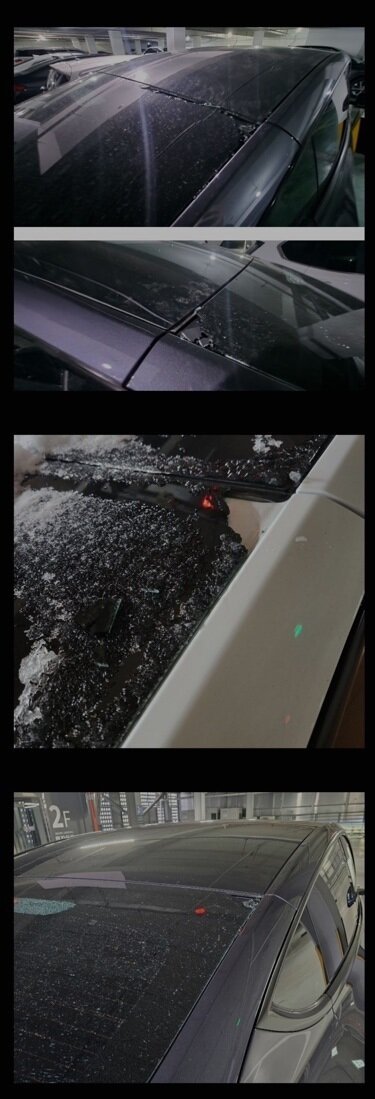 본문 이미지 - 온라인 커뮤니티 캡쳐