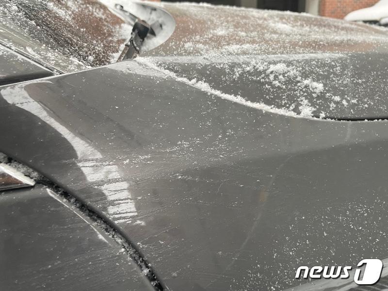 본문 이미지 - (보배드림 갈무리)