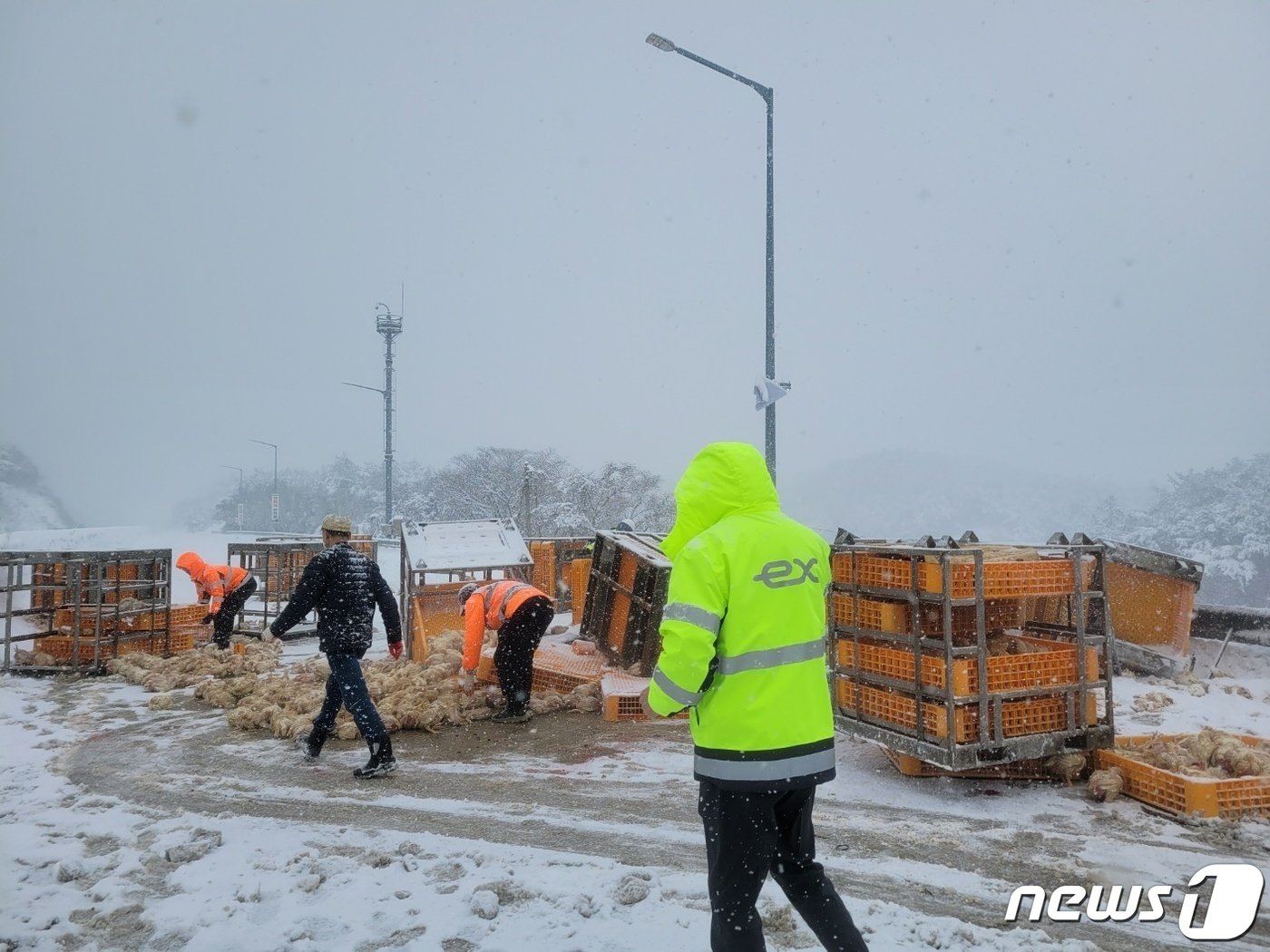 21일 낮 12시34분쯤 전남 함평 백운면 서해안고속도로 서울방면 42km지점에서 8.5톤급 양계장 트럭이 눈길에 미끄러지는 사고가 발생, 도로에 적재물들이 쏟아져 경찰이 수습을 하고 있다. &#40;독자제공&#41; 2023.12.21/뉴스1 