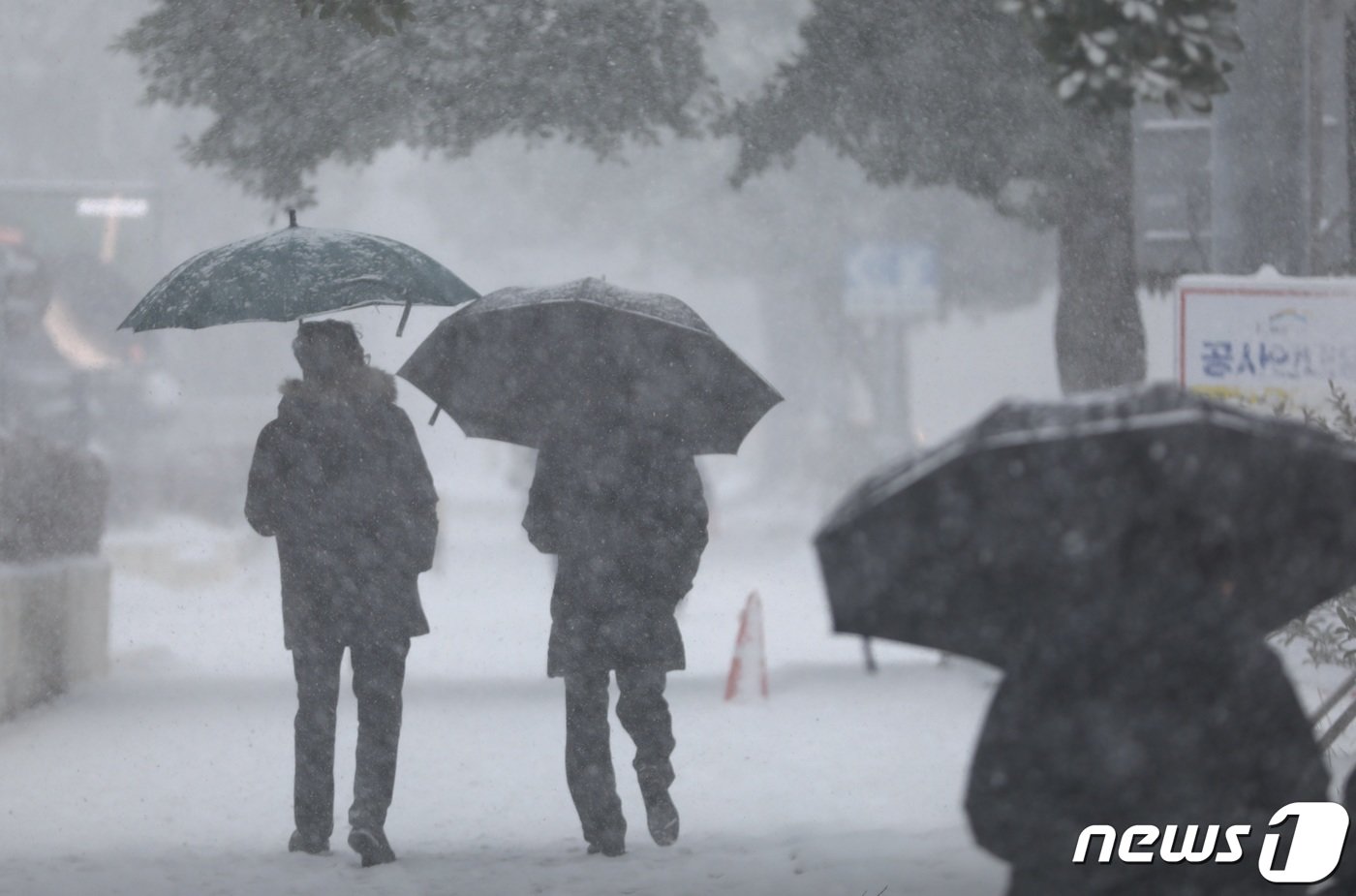 22일 오전 제주시 연동 거리에 많은 눈이 내리고 있다. 이날 제주는 전날에 이어 전역에 대설특보가 내려졌다.2023.12.22/뉴스1 ⓒ News1 고동명 기자