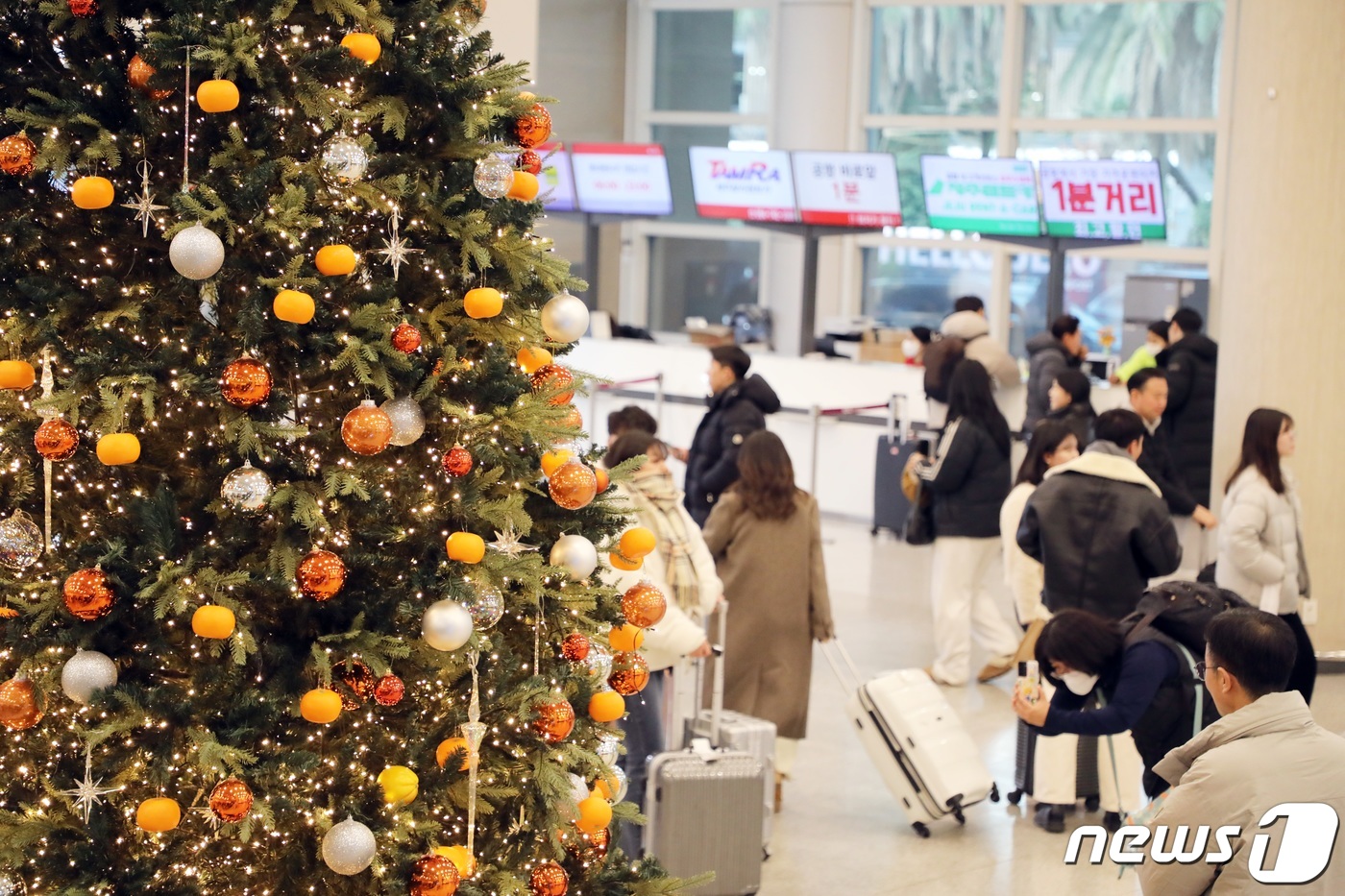 (제주=뉴스1) 고동명 기자 = 성탄절 연휴를 맞은 23일 오전 제주국제공항 도착 대합실에 설치된 감귤 크리스마스 트리가 눈길을 끌고 있다. 2023.12.23/뉴스1