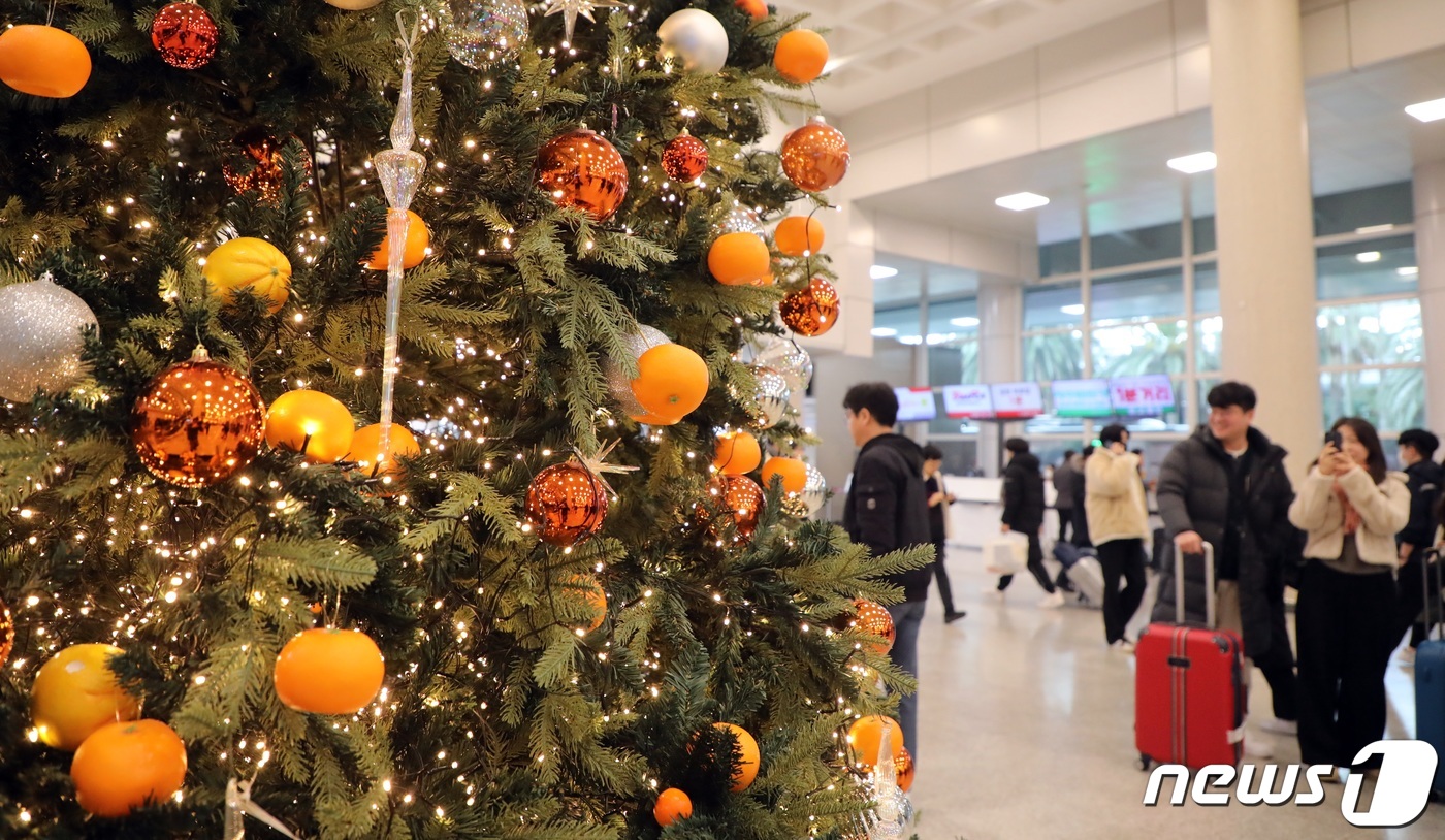 (제주=뉴스1) 고동명 기자 = 성탄절 연휴를 맞은 23일 오전 제주국제공항 도착 대합실에 설치된 감귤 크리스마스 트리가 눈길을 끌고 있다. 2023.12.23/뉴스1