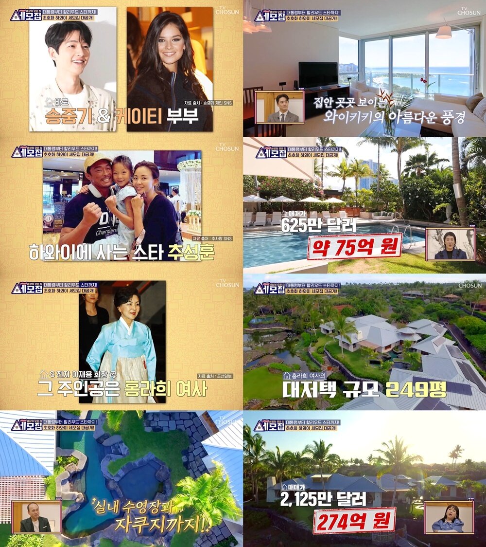 본문 이미지 - (TV조선 '세모집-세상의 모든 집' 갈무리)