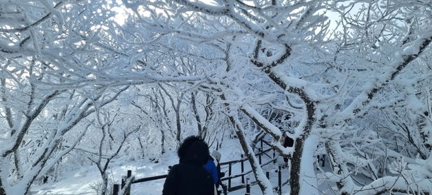 [오늘의 날씨]전북(26일, 화)…흐리고 비, 동부내륙 밤에 눈 '최대 10㎝'