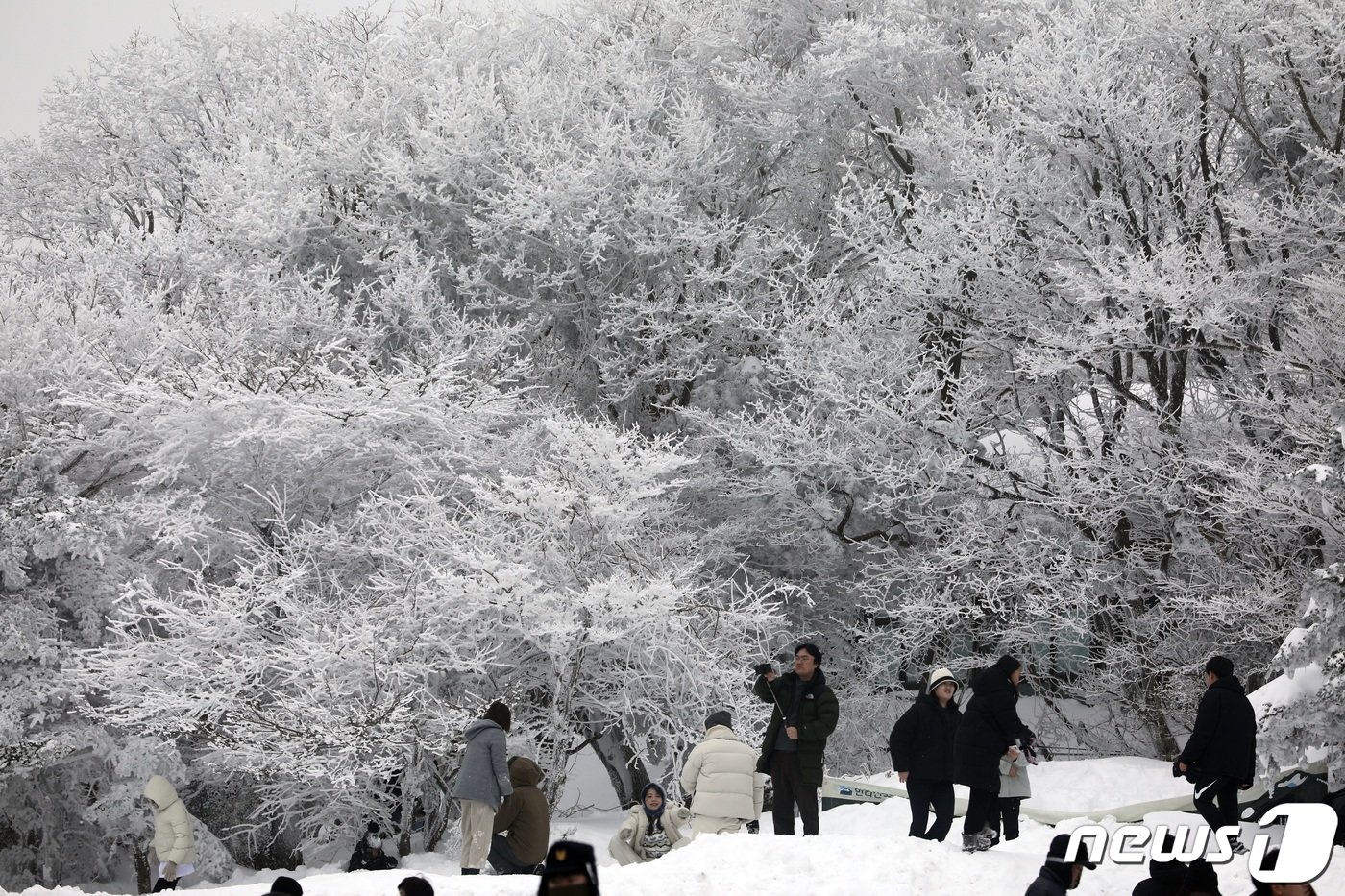 성탄절을 하루 앞둔 24일 제주시 한라산 1100고지 휴게소에서 도민과 관광객들이 설경을 보며 즐거운 시간을 보내고 있다.2023.12.24/뉴스1 ⓒ News1 고동명 기자