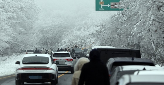 한라산 설경 불법 주차하고 본다?…3674건에 과태료 1억4600만원
