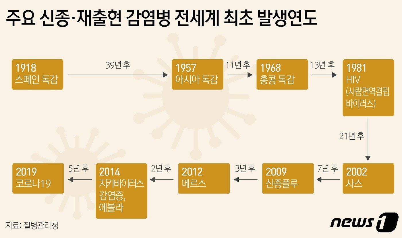 ⓒ News1 윤주희 디자이너