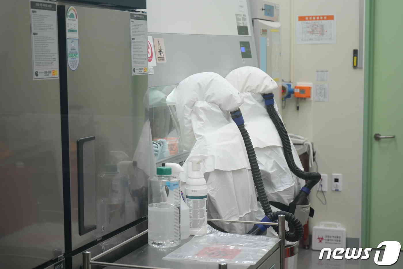 본문 이미지 - 지난 8월 국립감염병연구소 연구자들이 코로나19 백신 접종자들의 검체를 가지고 중화항체 실험을 하기 위해 전동식호흡 보호구(PAPR) 를 착용하고 BL3(Biosafty level 3) 실험실에서 연구를 진행하고 있다. 2023.8.31/뉴스1 ⓒ News1