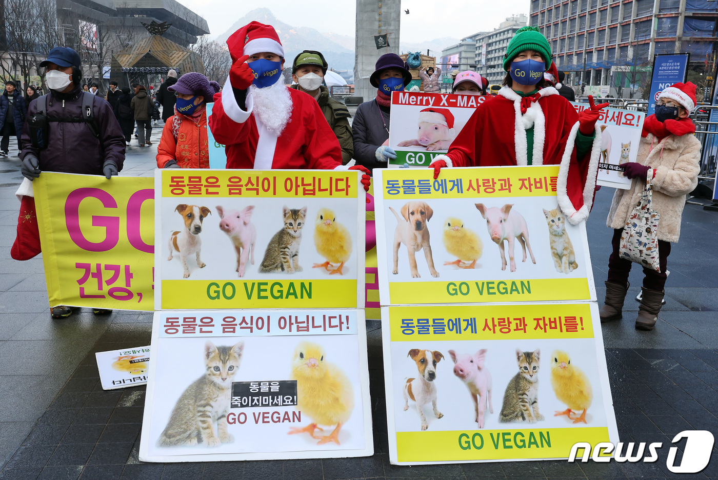 (서울=뉴스1) 이동해 기자 = 산타복을 입은 한국채식연합과 비건(VEGAN) 세상을 위한 시민모임 활동가들이 25일 오후 서울 광화문 광장에서 동물복지·동물권리·비건 채식 촉구 …