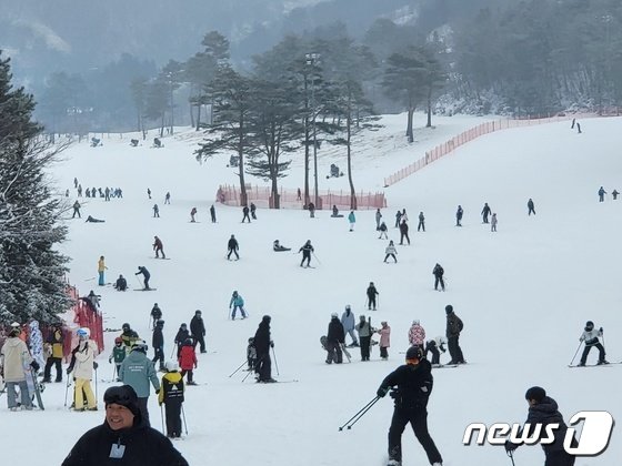 크리스마스인 25일 강원 주요지역에 눈이 내린 가운데 이날 낮 원주시 오크밸리 스키장에서 스키와 스노보드를 즐기는 관광객들이 몰려 있다. 2023.12.25/뉴스1 © News1 신관호 기자