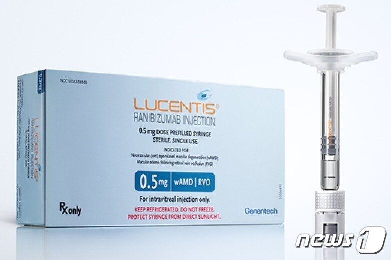 본문 이미지 - 루센티스(성분명 라니비주맙) 프리필드시린지(PFS) 제형.(제넨텍 제공)/뉴스1 ⓒ News1