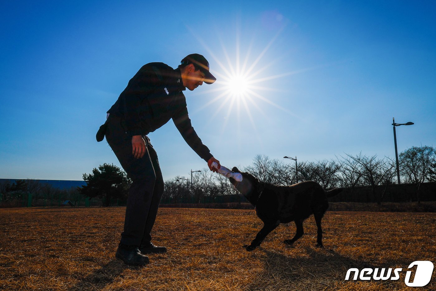본문 이미지 - 주디(8·래브라도 리트리버)가 탐지조사요원인 서혜민 주무관(26)과 인천 중구 관세인재개발원 탐지견훈련센터에서 훈련을 하고 있다. ⓒ News1 안은나 기자