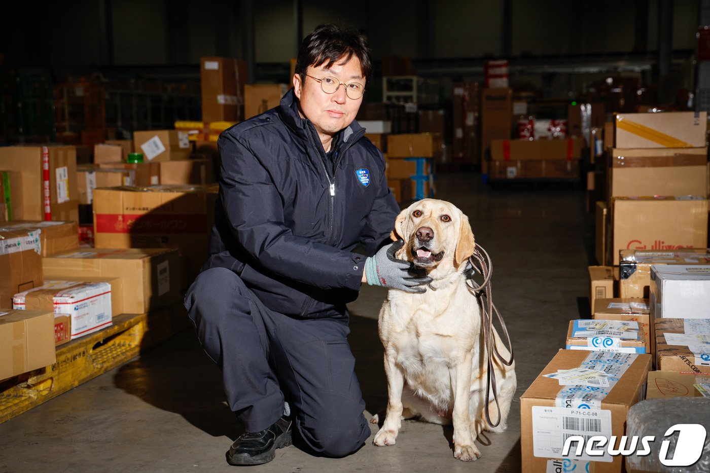 본문 이미지 - 탐지견 이온(2·래브라도 리트리버)과 탐지조사요원 김현욱 주무관(50)이 인천공항세관 특송물류센터에서 해외에서 배송된 수화물을 탐지한 뒤 포즈를 취하고 있다. ⓒ News1 안은나 기자