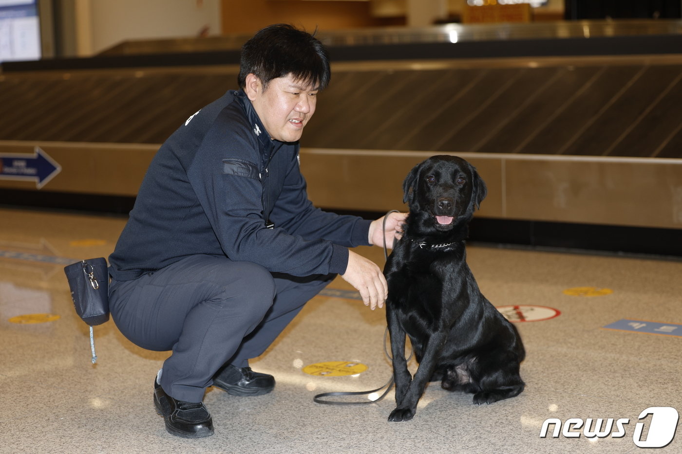 탐지견 에이스&#40;5·래브라도 리트리버&#41;가 탐지조사요원인 박지용 주무관&#40;50&#41;과 인천국제공항 제2터미널 입국장에서 여행객들의 수화물을 검색한 뒤 포즈를 취하고 있다. ⓒ News1 안은나 기자