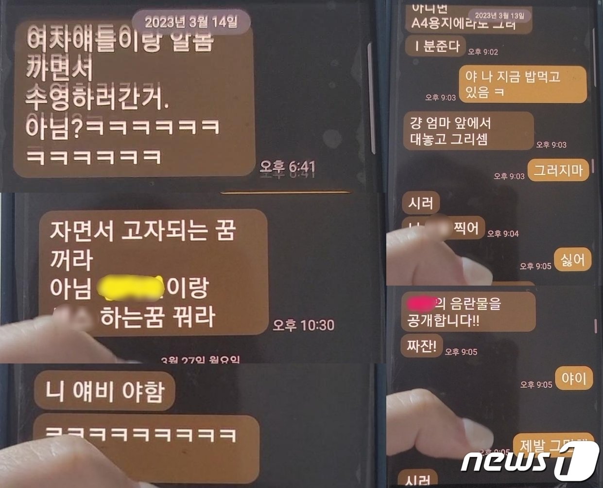 본문 이미지 - (보배드림 갈무리)