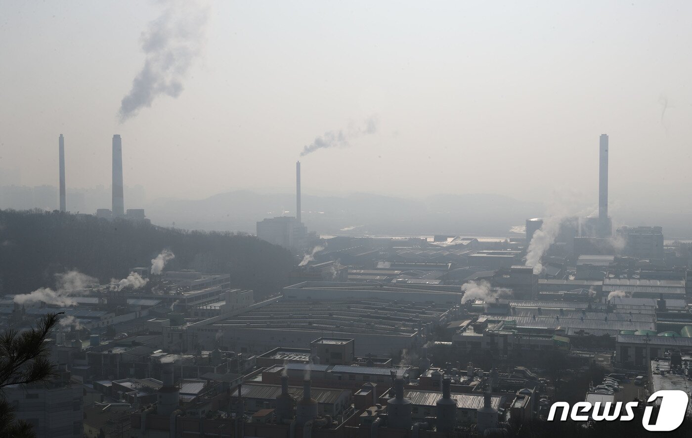 본문 이미지 -  안산시 단원구 안산스마트허브 전망대에서 바라본 반월특수국가산업단지.ⓒ 뉴스1 김영운 기자