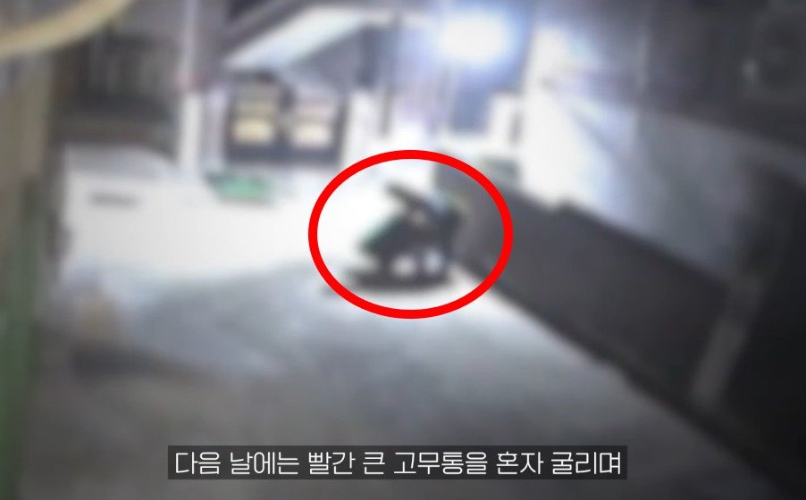 본문 이미지 - (서울경찰 유튜브 갈무리)