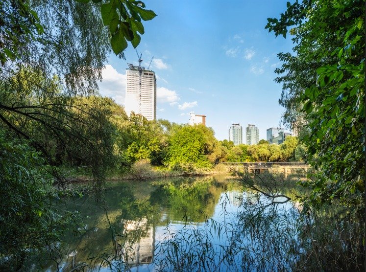 본문 이미지 - [조경가 정영선 개인전] 정영선, 여의도샛강생태공원, 1997-2007, 사진 제공_정지현.