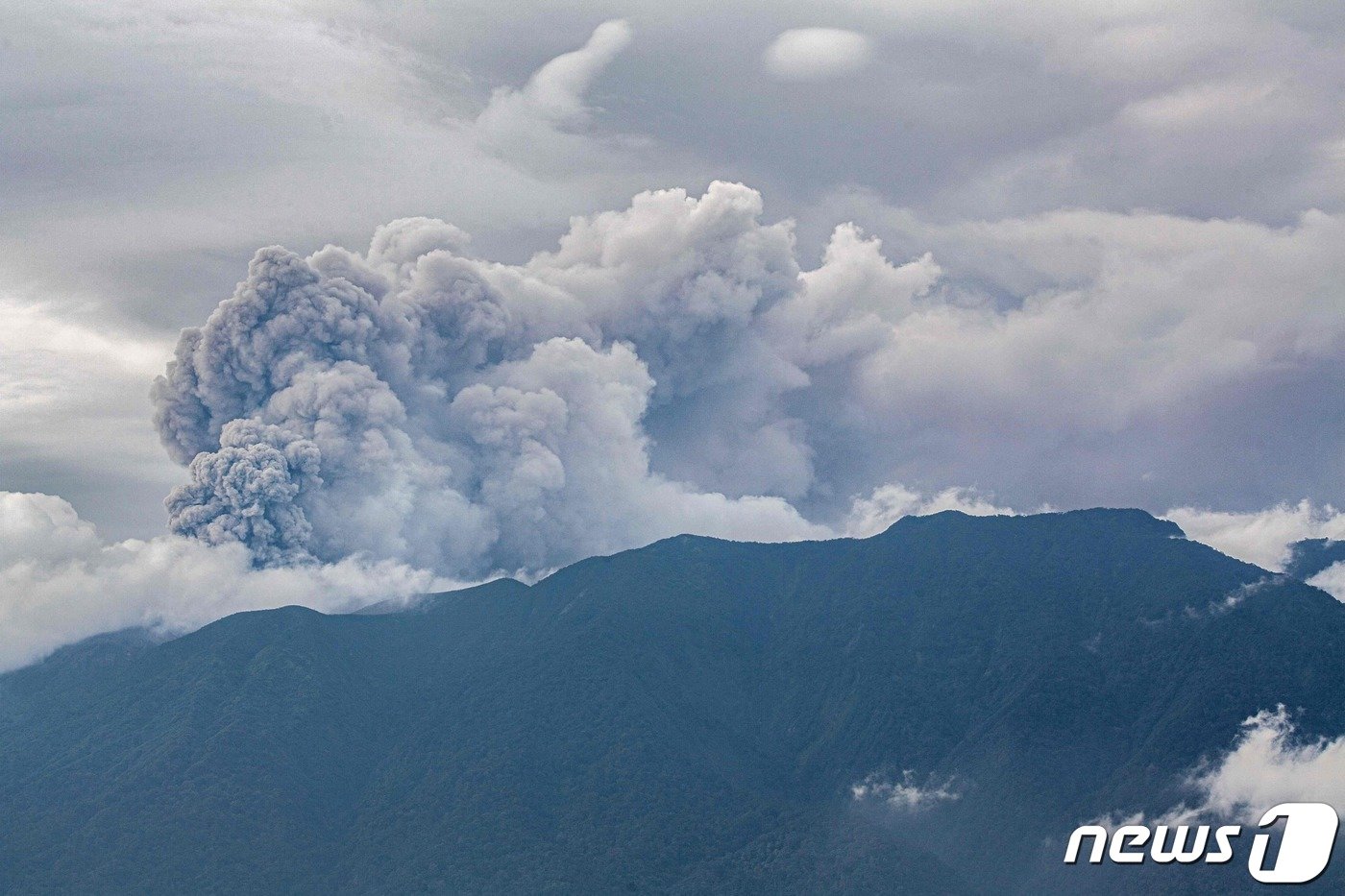 위의 가로 사진. ⓒ AFP=뉴스1 ⓒ News1 이유진 기자