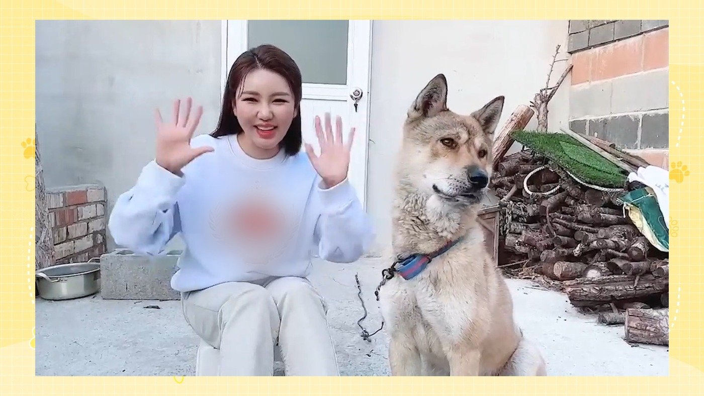 본문 이미지 - KBS 2TV '개는 훌륭하다'