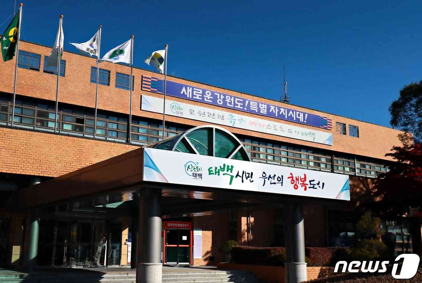 블라인드 | 그린카 뉴스