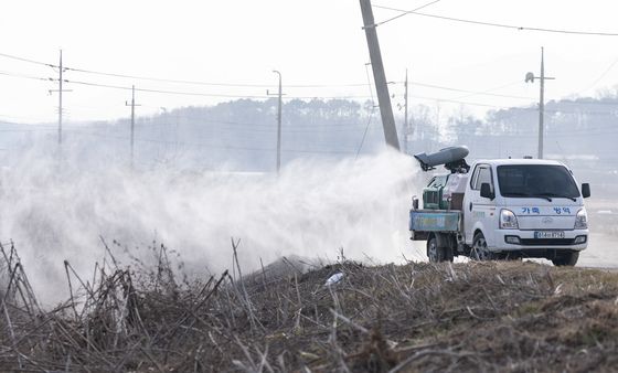 군산서 국내 첫 고병원성 AI H5N3형 확인…"바이러스 분석 돌입"