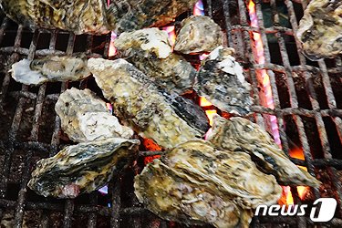 본문 이미지 -  천북 굴단지에서 판매되는 굴구이. (보령시 제공) /뉴스1