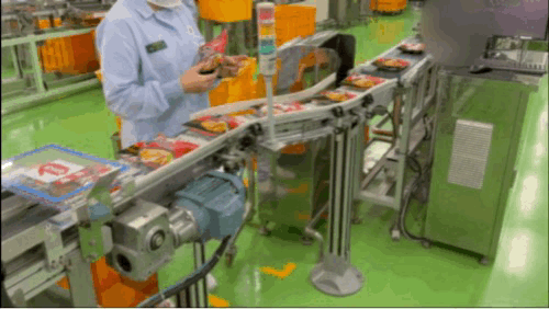 본문 이미지 - 포장 오류를 검열하는 기기다. 카메라는 봉지를 인식해 구멍이나 찢어진 곳이 없는 지 검열한다. 제품이 지나가는 영상은 PMS 시스템에 8개월 간 저장돼 내부 분석용으로 활용되기도 한다. ⓒ 뉴스1/신민경 기자.