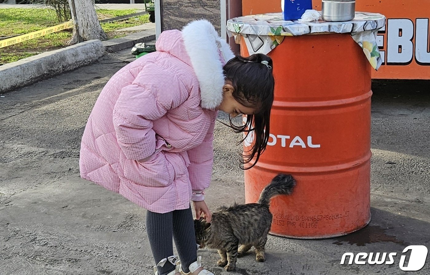 타슈켄트 시장에서 고양이를 쓰다듬고 있는 우즈베키스탄 소녀 ⓒ 뉴스1 최서윤 기자