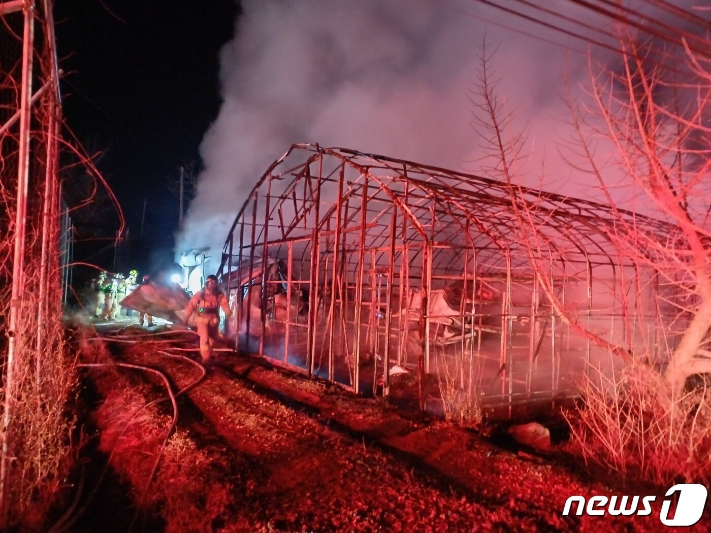 본문 이미지 - 5일 오후 11시4분쯤 충북 괴산군 청안면 운곡리의 한 비닐하우스에서 불이 나 40여분 만에 진화됐다.(괴산소방서 제공)/뉴스1
