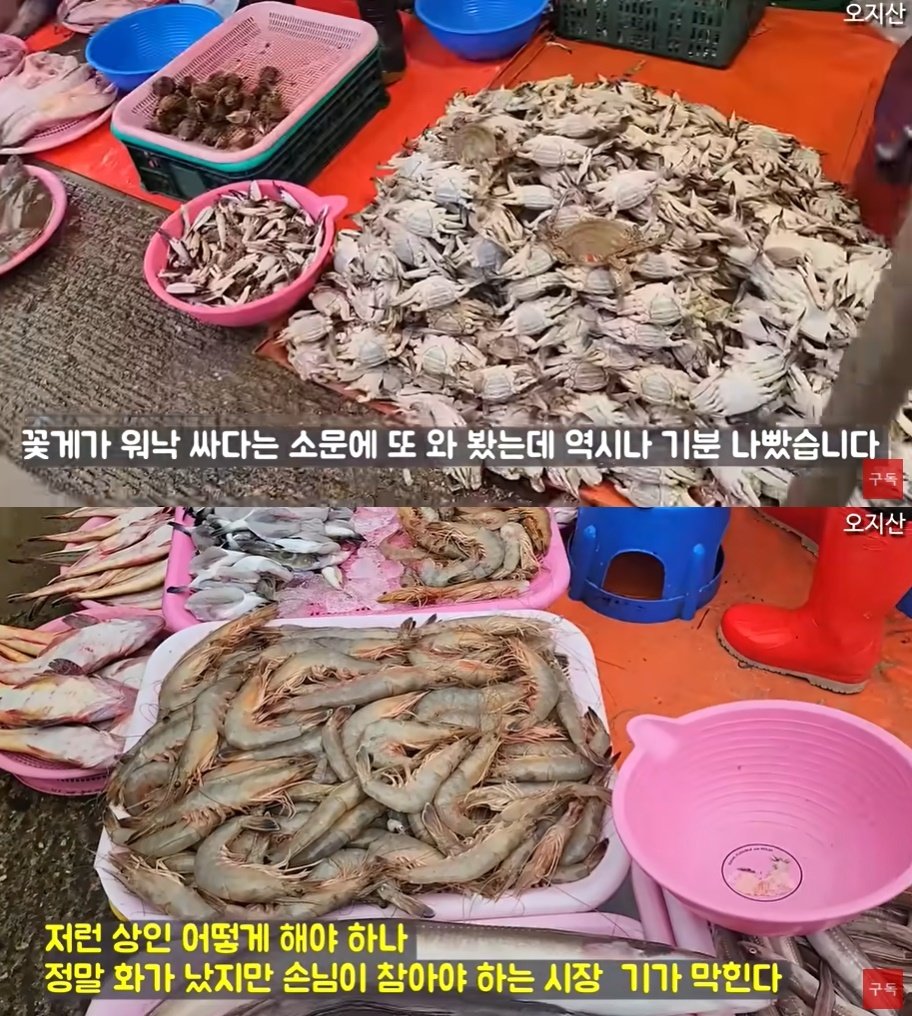 본문 이미지 - (유튜브 채널 '오지산' 갈무리)