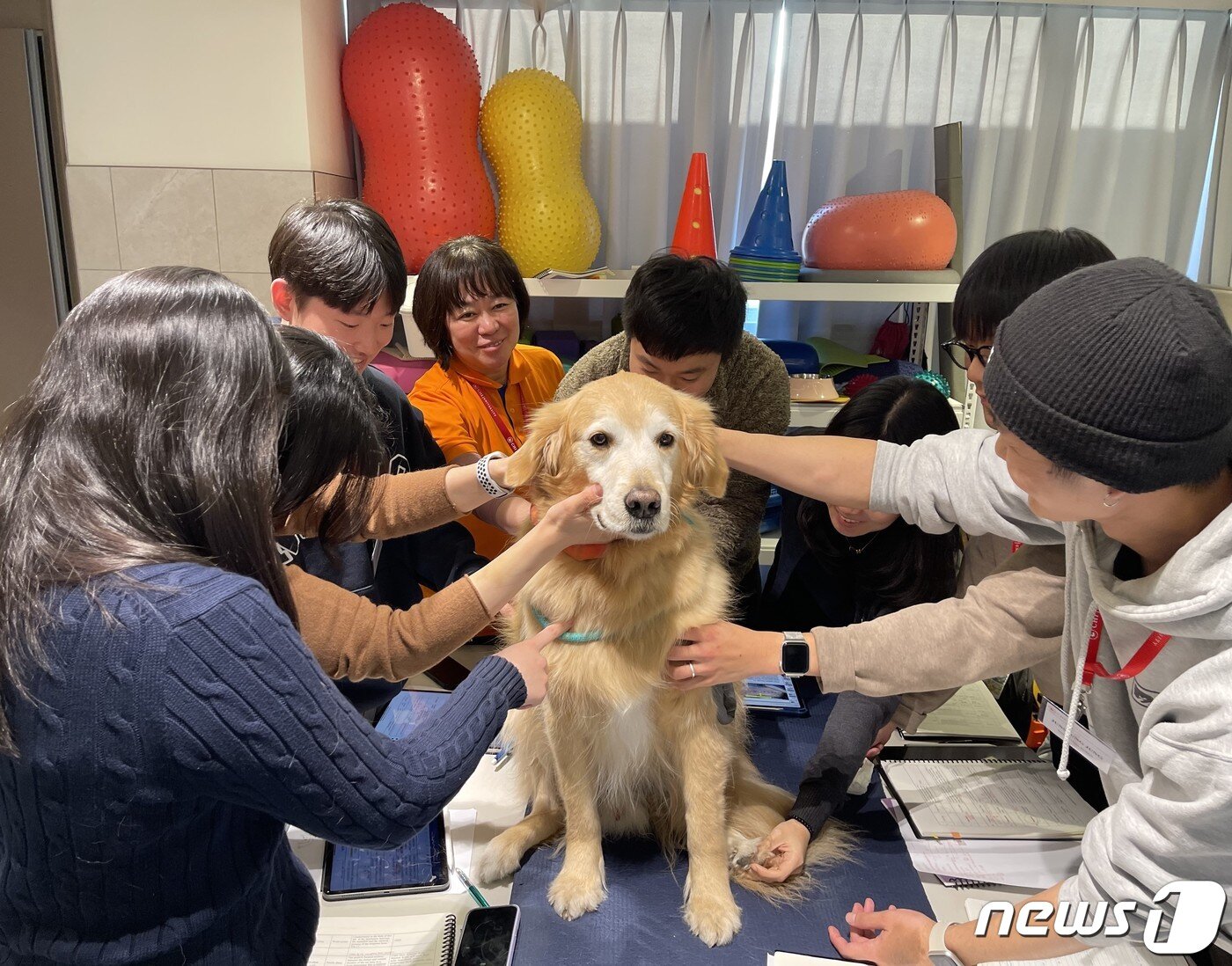 본문 이미지 - VIP동물한방재활의학센터 by Dr. 신사경은 3일 CVA 교육을 진행했다.(재활센터 제공) ⓒ 뉴스1