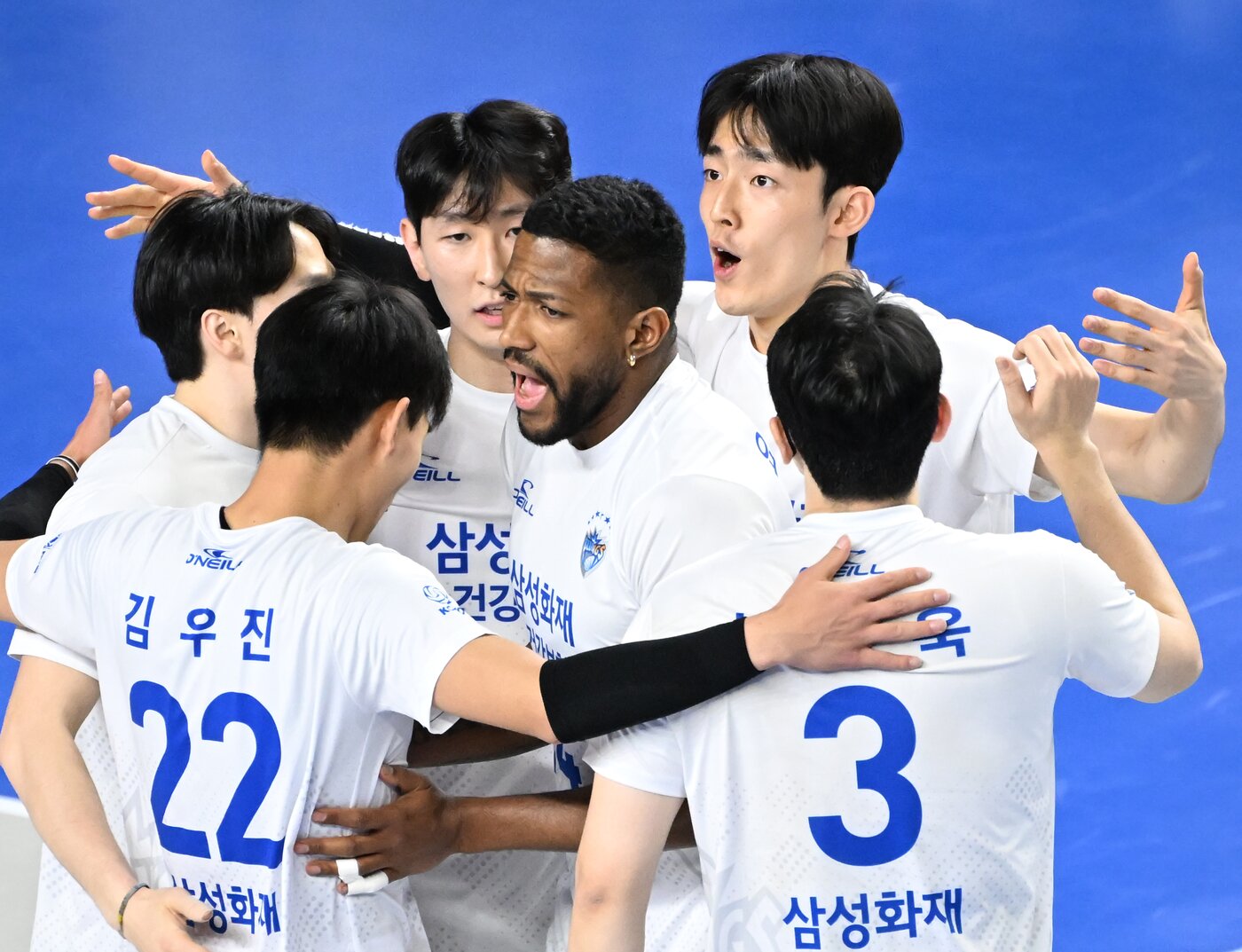 본문 이미지 - 남자 프로배구 삼성화재(한국배구연맹 제공)