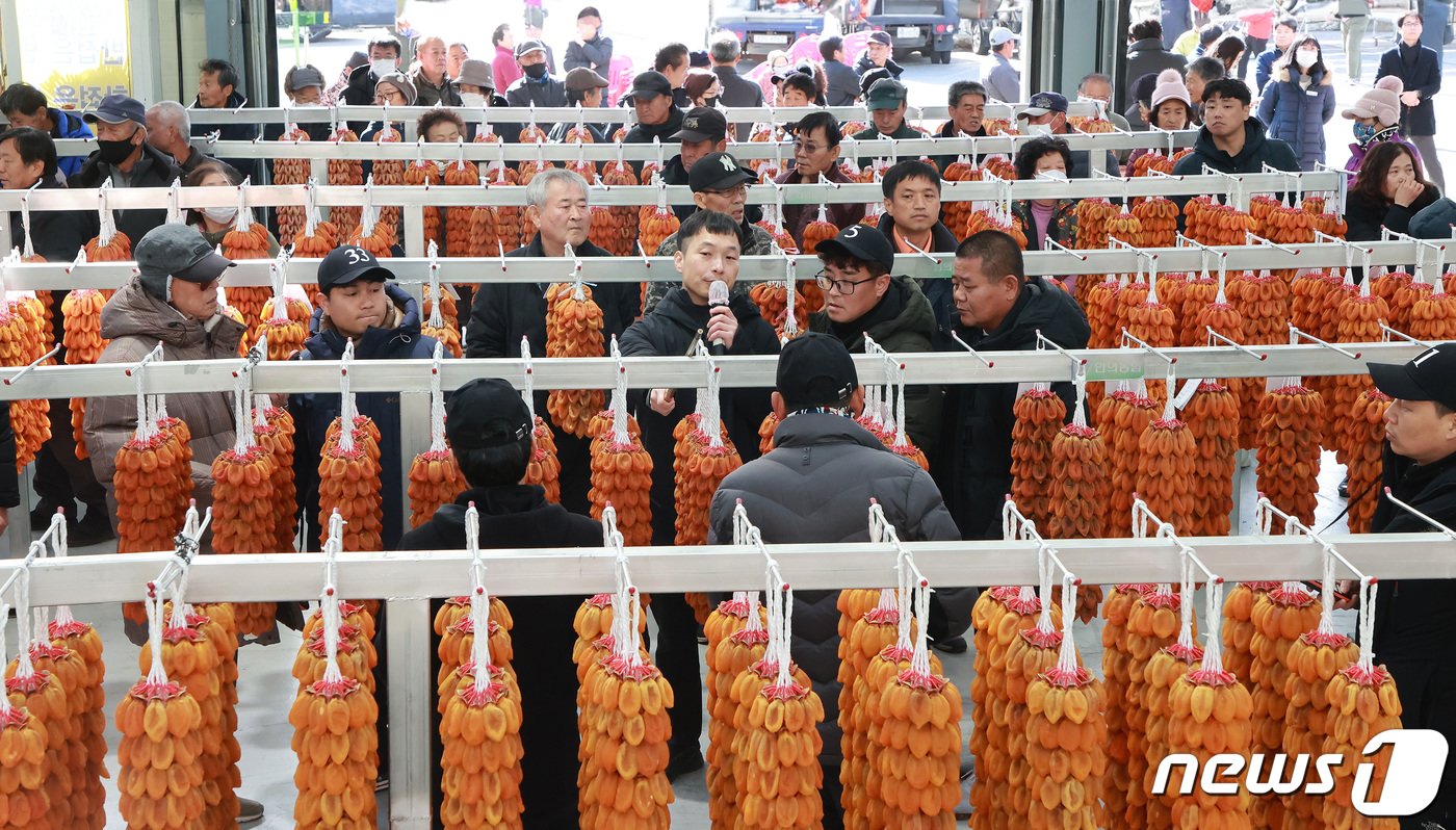 7일 경남 함양군 서하면 곶감경매장에서 ‘지리산 함양곶감’ 초매식이 진행되고 있다. &#40;함양군 김용만 제공&#41; 2023.12.7/뉴스1