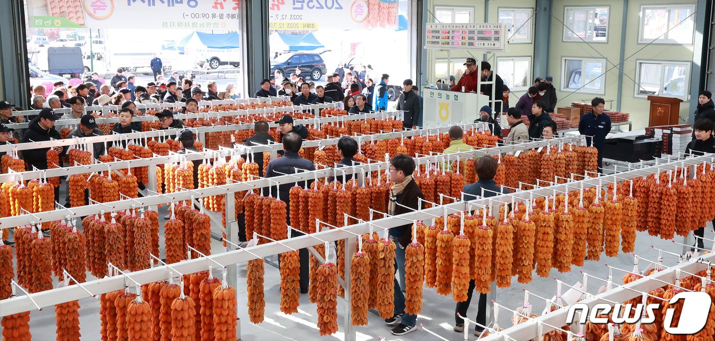본문 이미지 - 7일 경남 함양군 서하면 곶감경매장에서 ‘지리산 함양곶감’ 초매식이 진행되고 있다. &#40;함양군 김용만 제공&#41; 2023.12.7/뉴스1