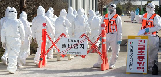 용인 청미천서 고병원성 AI 감염 원앙 확인…일본에선 농장 확진