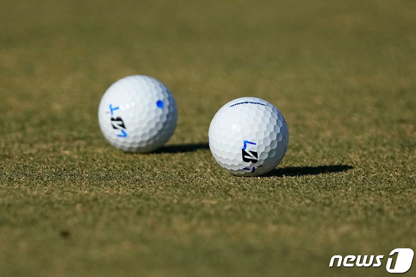 본문 이미지 - 골프공. ⓒ AFP=뉴스1
