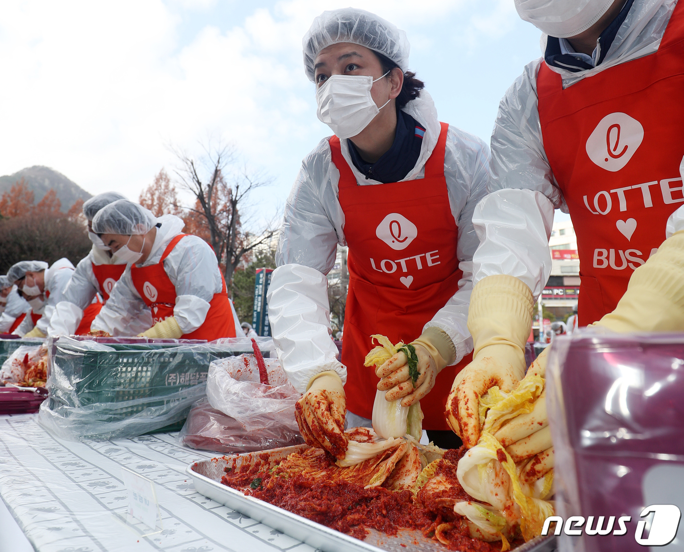 (부산=뉴스1) 윤일지 기자 = 8일 부산 동래구 사직야구장 앞 광장에서 열린 '롯데 사랑나눔 1만포기 김장담그기 행사'에서 롯데자이언츠 김원중이 김장을 담그고 있다.2011년부터 …