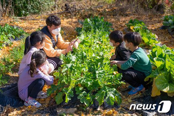 전남도교육청의 농산어촌유학 프로그램 참여로 강진 옴천초등학교에 전학온 학생들이 선생님과 함께 농촌 체험활동을 하고 있다.(전남도교육청 제공)/뉴스1 