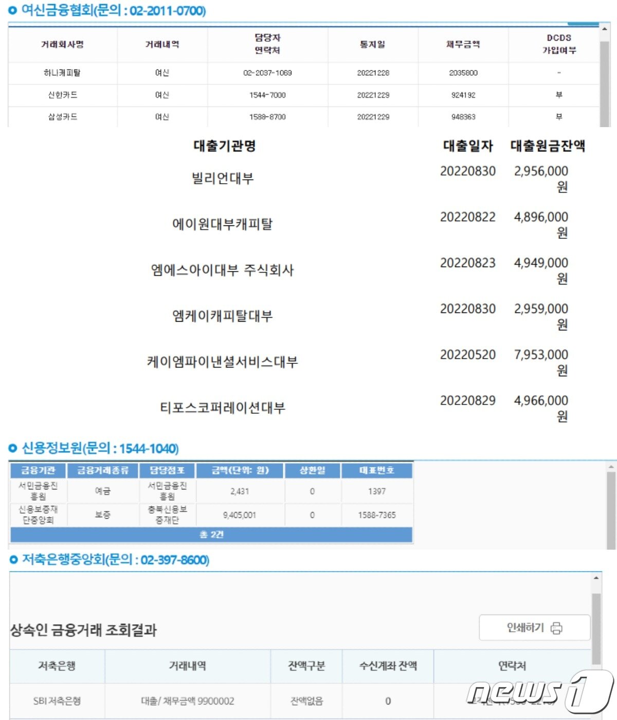 본문 이미지 - A씨가 공개한 아내의 채무 내역. ('보배드림' 갈무리)
