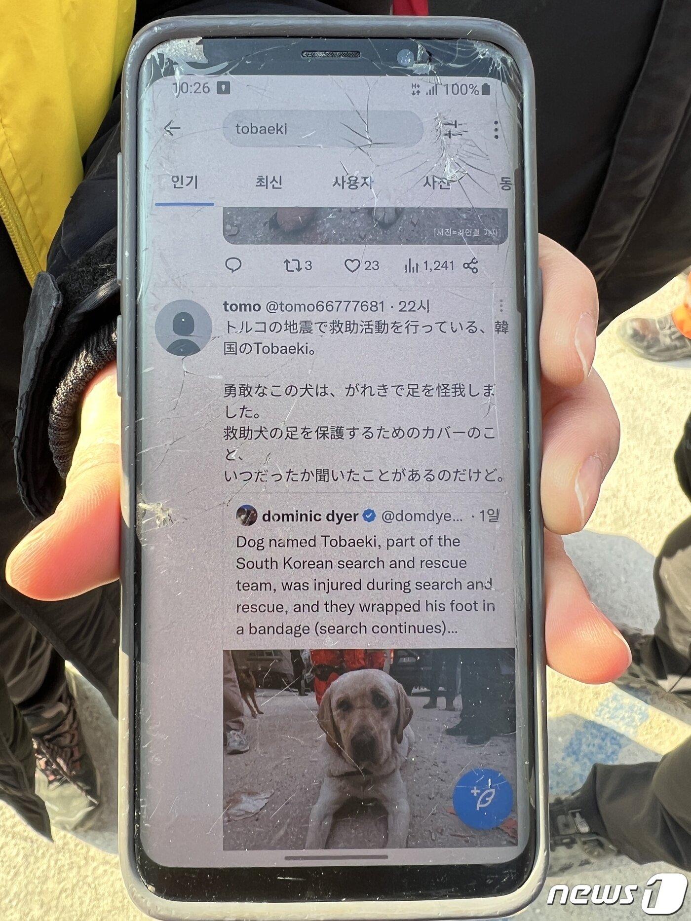 본문 이미지 - 튀르키예 지진 구조 현장에선 토백이가 SNS 상에서 인기를 끌고 있다며 현지 뉴스1 취재진에 사진을 보여주기도 했다. 김민수 기자