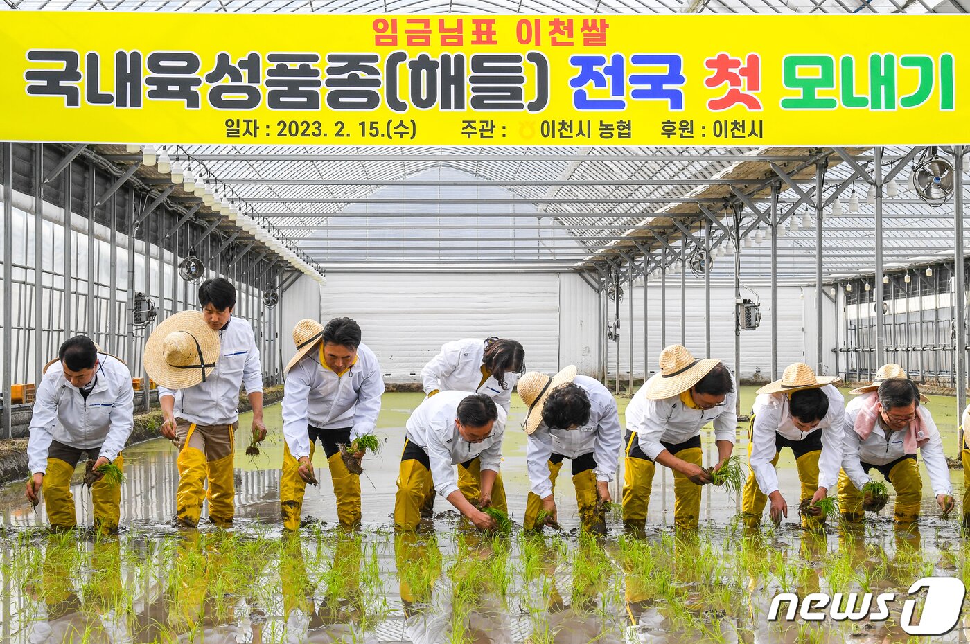 본문 이미지 - 15일 오후 경기도 이천시 호법면의 벼 재배 하우스에서 지역 농부들과 이천시 관계자들이 올해 첫 모내기를 하고 있다.(공동취재) 2023.2.15/뉴스1 ⓒ News1 민경석 기자