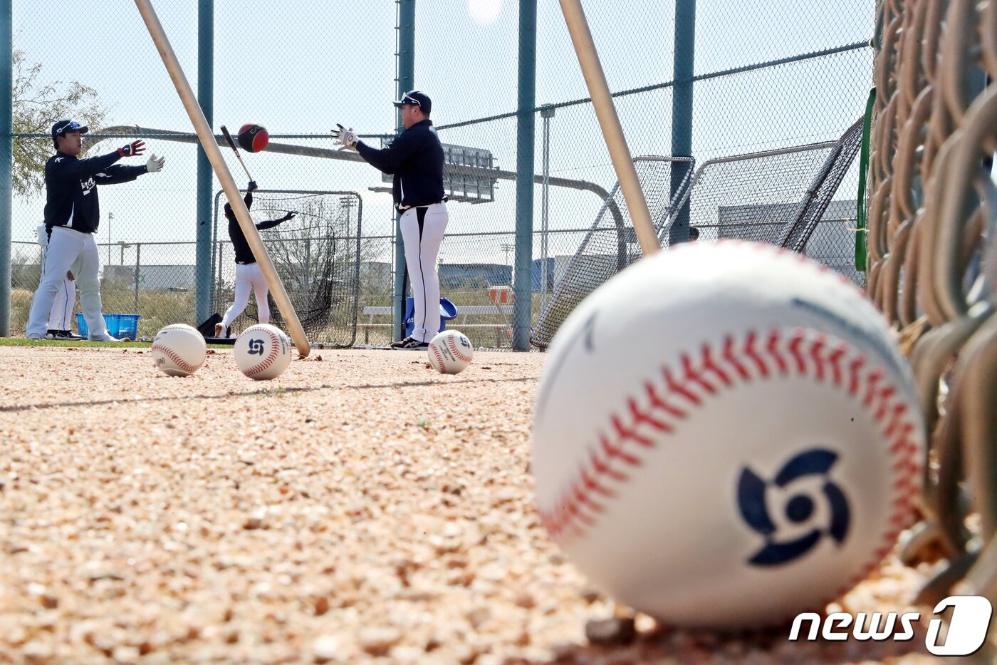본문 이미지 - 2023 월드베이스볼클래식(WBC)에 출전하는 대한민국 대표팀 선수들이 15일(현지시간) 미국 애리조나주 투손 키노 스포츠 콤플렉스 대표팀 전지훈련지에서 훈련을 하고 있다. 2023.2.16/뉴스1 ⓒ News1 황기선 기자
