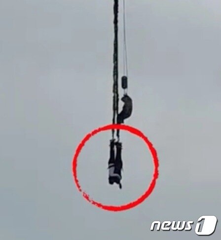 본문 이미지 - 위에서 빨간 원 속에 있는 커플에 접근하고 있는 관리인 - 웨이보 갈무리