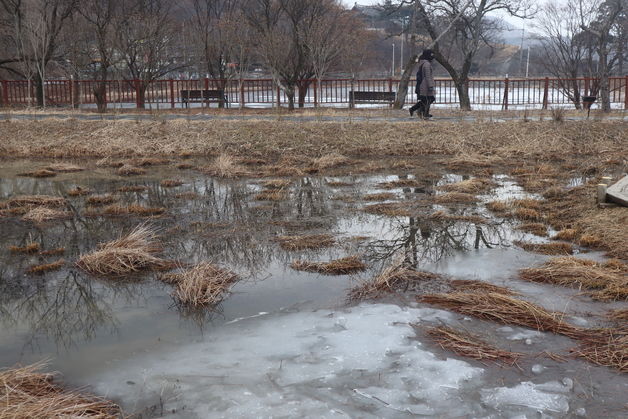 [오늘의 날씨] 충북·세종(30일, 월)…흐리고 곳곳 빙판길 '유의'