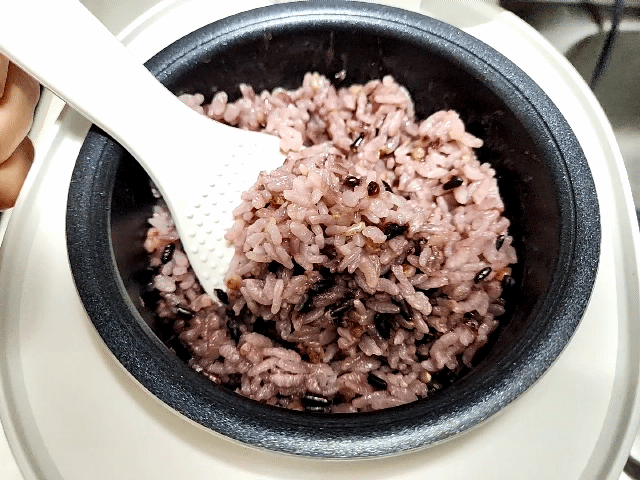 본문 이미지 - 쿠첸 냉동보관밥 모드로 지은 밥. ⓒ 뉴스1 김예원 기자