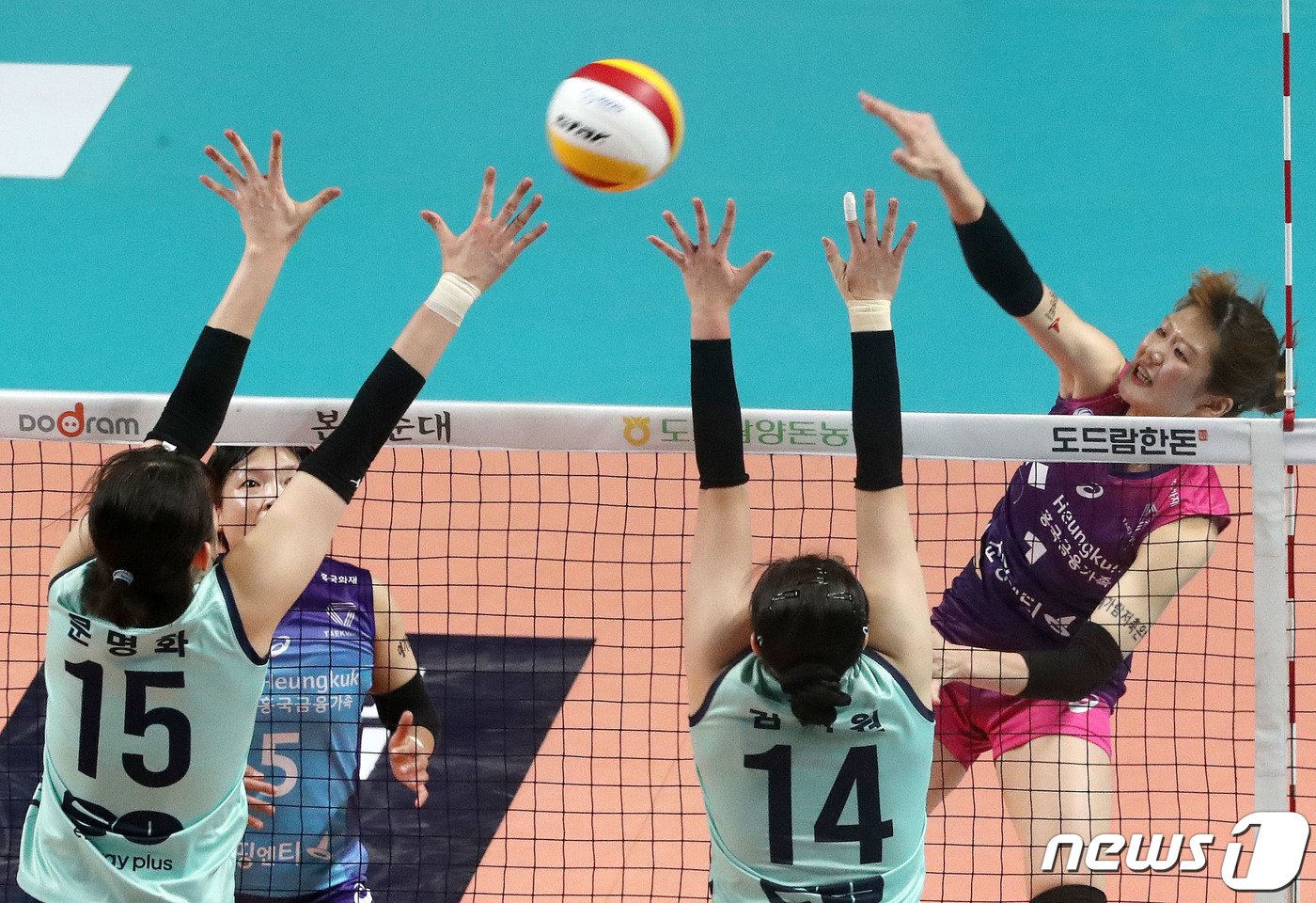 본문 이미지 - 19일 오후 서울 중구 장충체육관에서 열린 프로배구 &#39;도드람 2022-2023 V리그&#39; 여자부 GS칼텍스와 흥국생명의 경기에서 김나희&#40;흥국생명&#41;가 공격을 하고 있다. 2023.2.19/뉴스1 ⓒ News1 박세연 기자