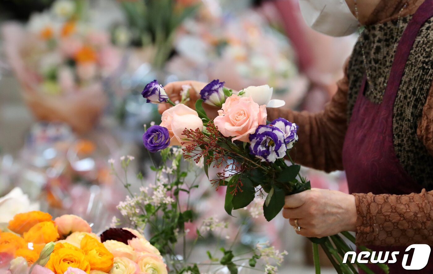 본문 이미지 - 2일 오후 서울 서초구 양재꽃시장을 찾은 시민이 꽃을 고르고 있다.  2023.2.2/뉴스1 ⓒ News1 김진환 기자