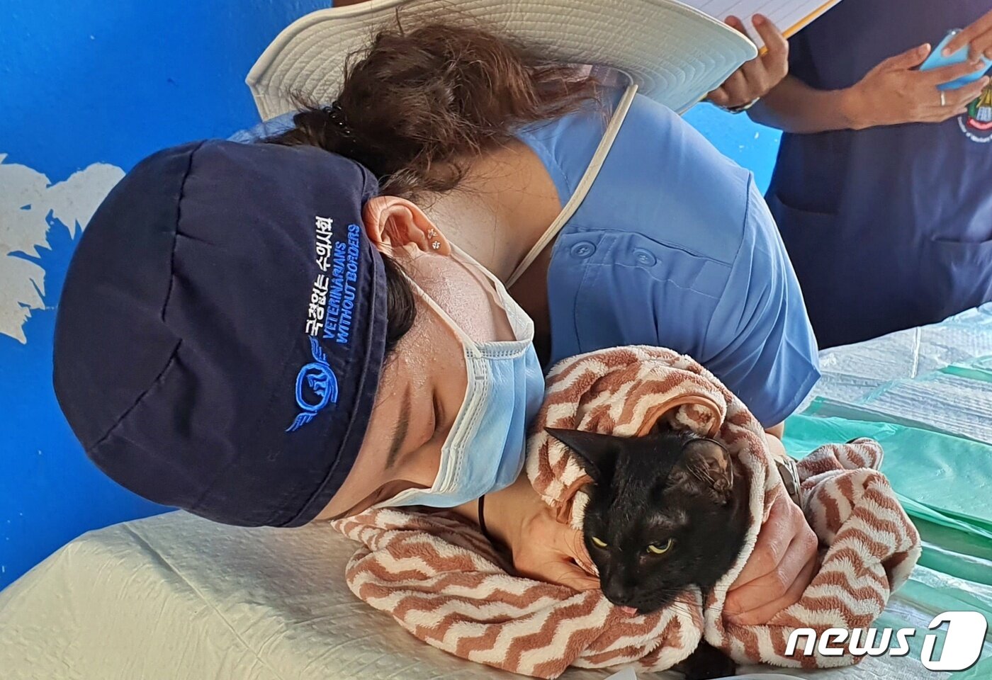 본문 이미지 - 국경없는 수의사회는 12일 라오스 국립대학교 동물병원에서 동물의료봉사 활동을 했다. ⓒ 뉴스1 최서윤 기자
